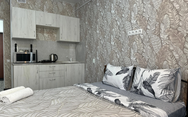 Апартаменты Дом 89 на улице Петуха 3/1