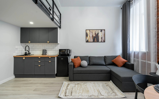 Квартира Просторная студия