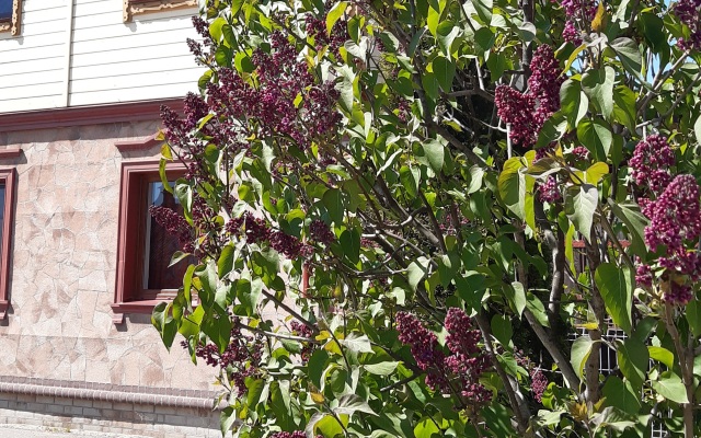Kak Doma Semeyny Dvukhkomnatny Apartments