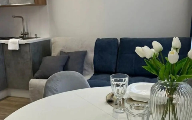 Квартира просторная и уютная студия в Сочи