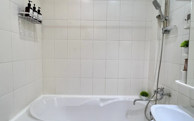 V Tsentre Podolska Flat