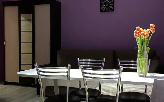 Uyutnaya Dvuhkomnatnaya Kvartira V Tsente Ryibinska Apartments