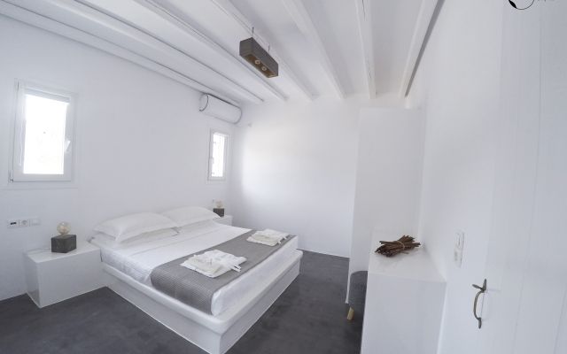 Ow Andros Luxury Suites Villa