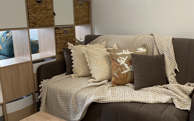 Apartamenty Studiya Skandi S Vidom Na Kreml