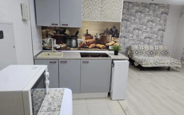 Dvuhkomnatnye ryadom s parkom SHvejcariya Apartments 1