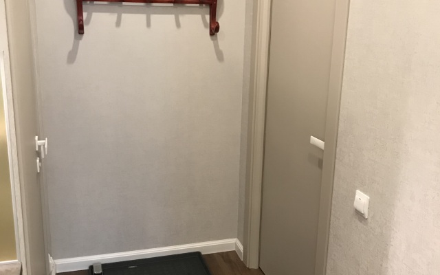 Апартаменты Большая Пушкарская 4