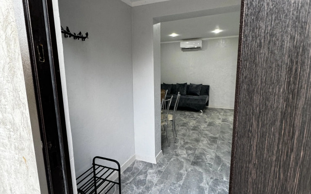Apartments Gostevoy Dom Daryya
