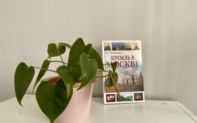 Atmosphernaya v lychshem rayone goroda Flat