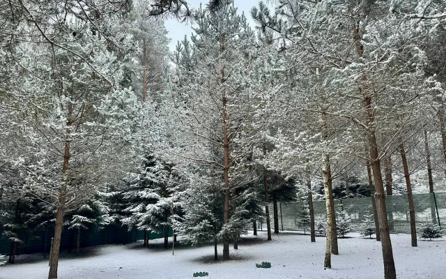 Premialny Semeyny Dom V Sosnovom Lesu Private house