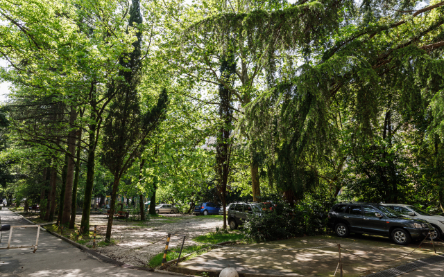 3-Kh Komnatnaya V Tsentre Adlera Flat