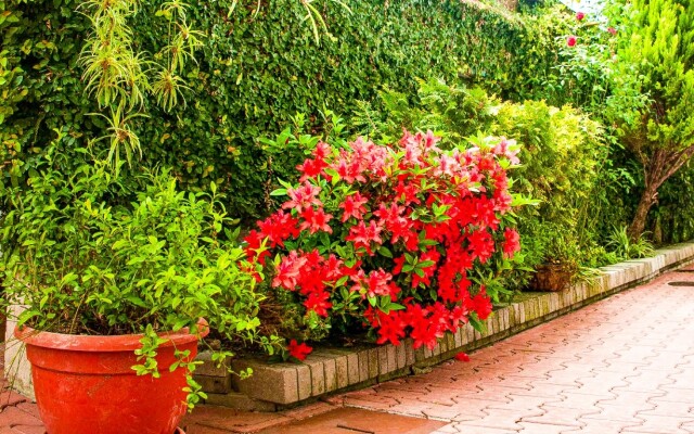 Villa Valentina by Sun City Hotels Guest House
