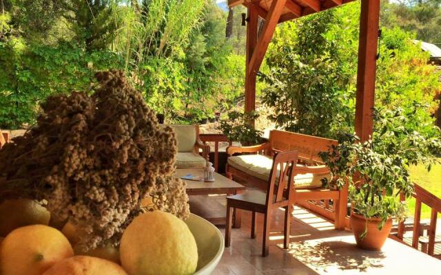Olymposvillage Hotel
