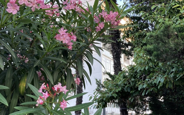 Nomer S Balkonom I Vidom Na More Apartment