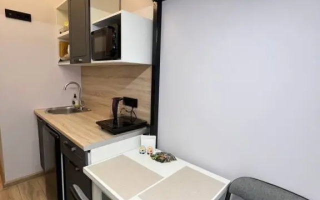 Апартаменты 4 на Чкаловском проспекте