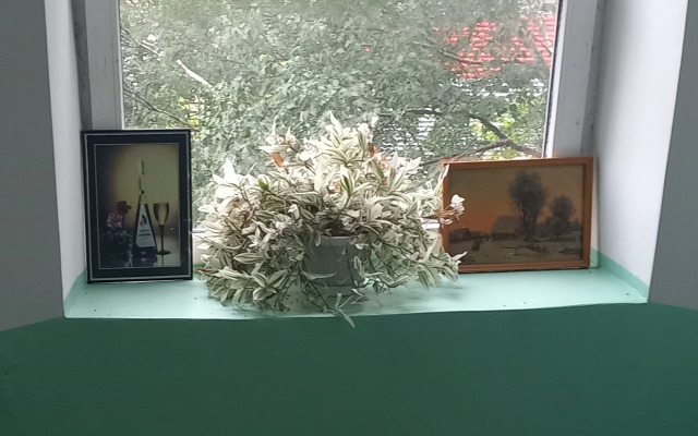 Luchshaya Dvukhkomnatnaya Satka Flat