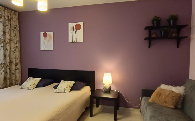 Апартаменты Библиотечная 45 #1