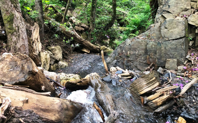 База отдыха Панорама