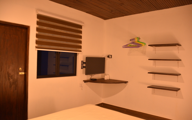 Amass Apartment Apartments