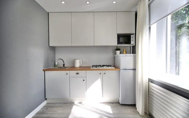 Квартира на проспекте Луначарского 20