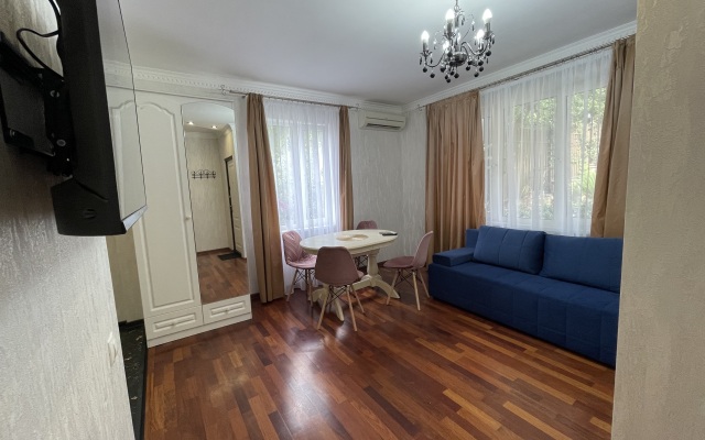 Studiya v Tsentre Goroda Flat