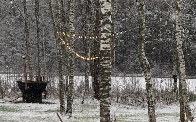 Birch Na Beryozovoy 2 Private house