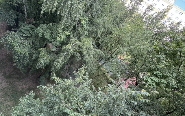 Квартира Большая квартира в эко районе