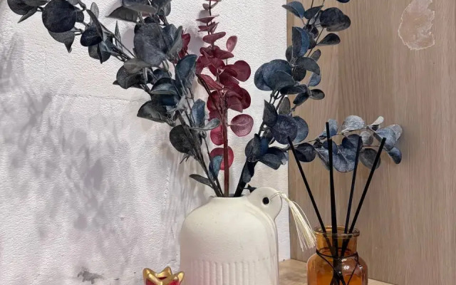 Cosmo Star na Sokolinoy gore Apartament