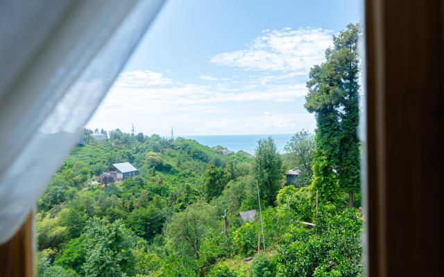 TreeHouse GoldenSeaView TreeHouse Private house