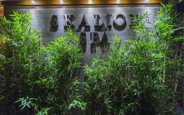 Отель Skalion Hotel & Spa