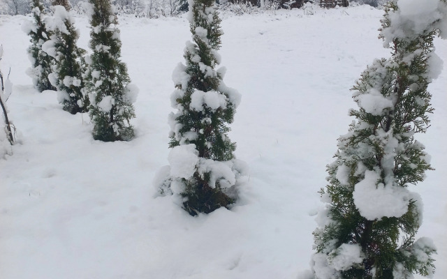 Частный дом Речная Заимка