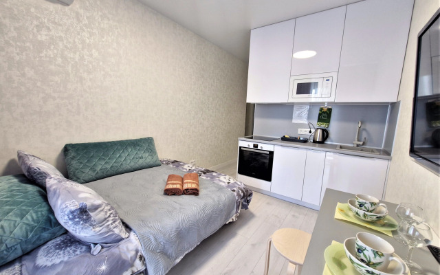 Uyutnaya studiya v tsentre na Kargina Apartments