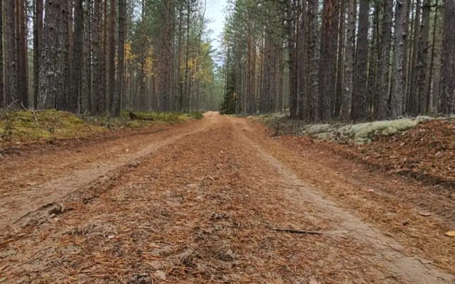 Гостевой дом Лисий берег