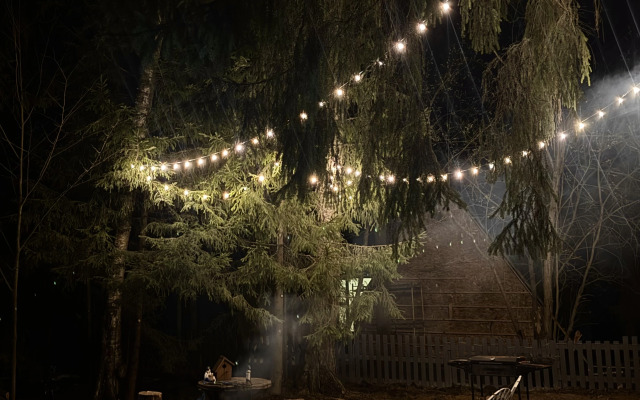 Гостевой дом Дом и Елки