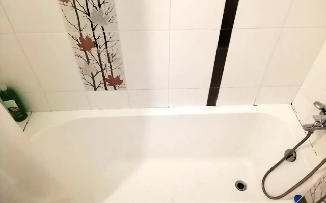 Апартаменты Милый дом на Костычева