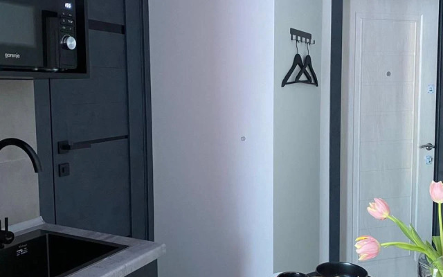 Апартаменты Pink&City Vibe