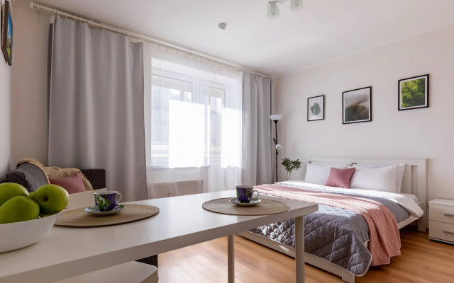 Квартира Живи в Песочном Студия Садовая 88