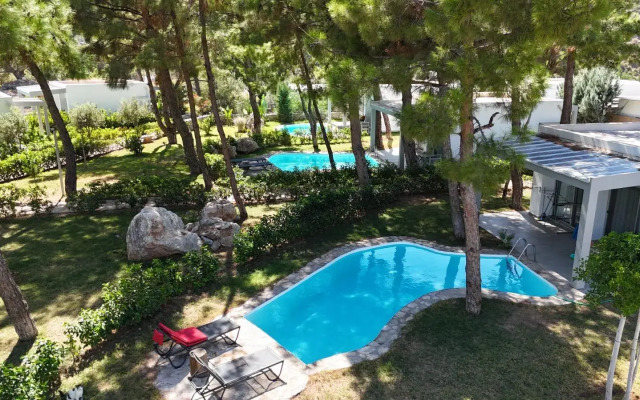 Отель Z-Villas Beach Hotel