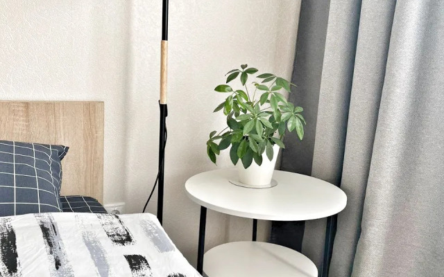 Квартира Елена Озерки