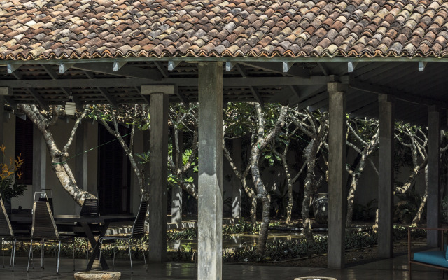 The Frangipani Tree by Edwards Collection Villa