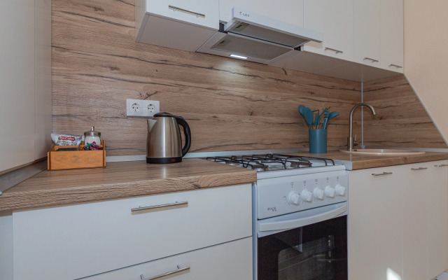 Svetlye I Uyutnye Flat