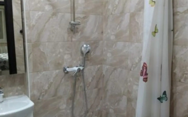 U Tsentra Apartments