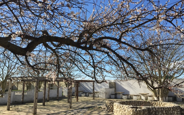 База Отдыха Пансионат Портовое