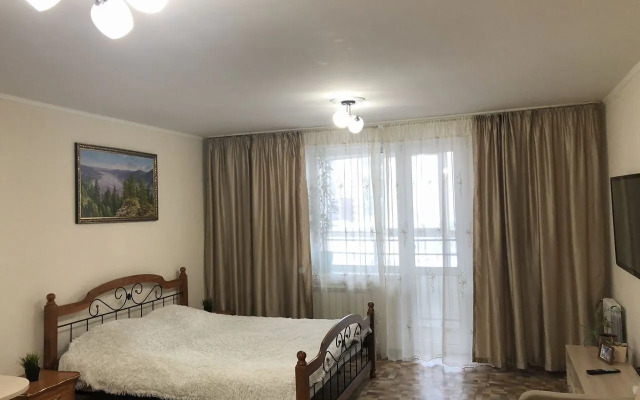 Апартаменты 36 на улице Елизаровых 15/1