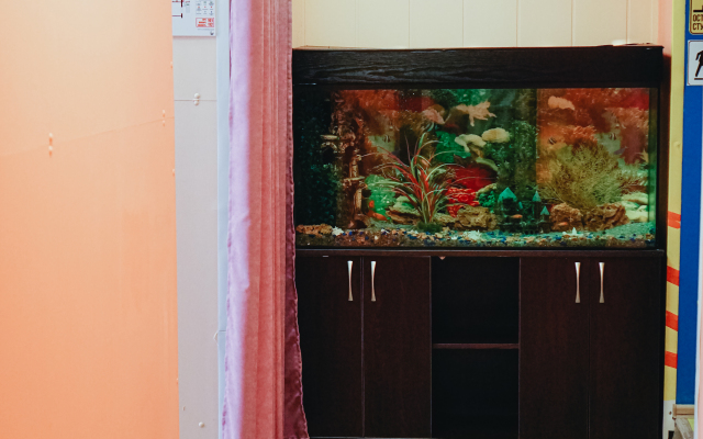 Меблированные комнаты Норка