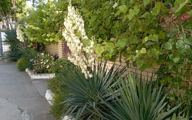 Lotos Guest house