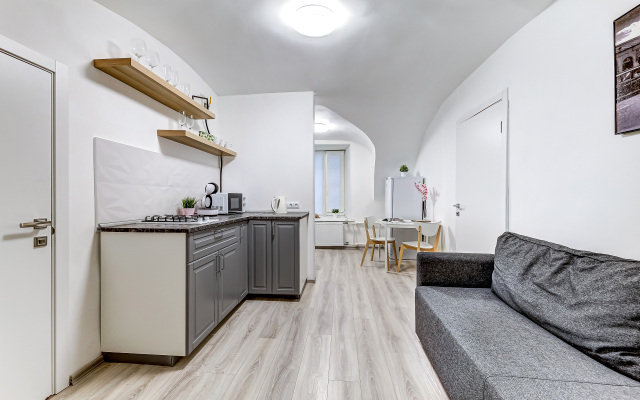 Апартаменты Ingria Liteyny