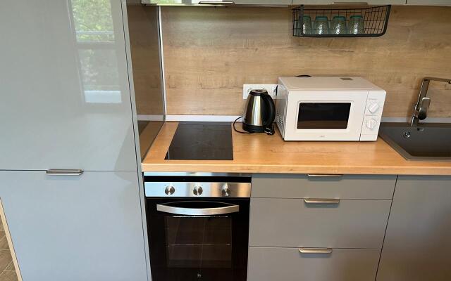 4kh mestnye apartamenty s balkonom i basseynom Apartments
