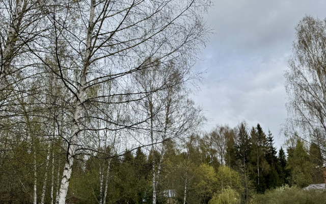 Гостевой дом Дом и Елки