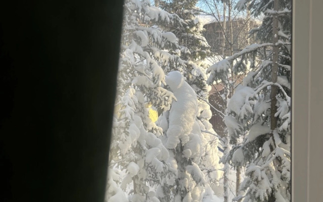 Апартаменты 5 красно-зеленые