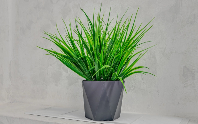 Апартаменты Дмитриевский Собор - Владимирская Русь - Исторический Владимир